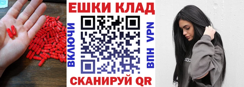 hydra вход  Новый Оскол  Экстази XTC  где купить наркоту 