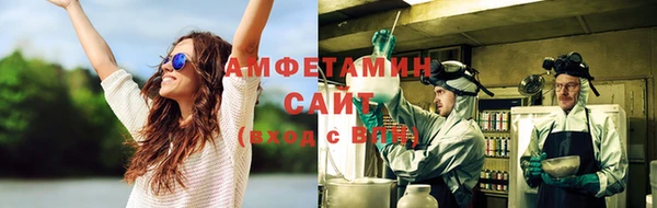 крисы Богородицк