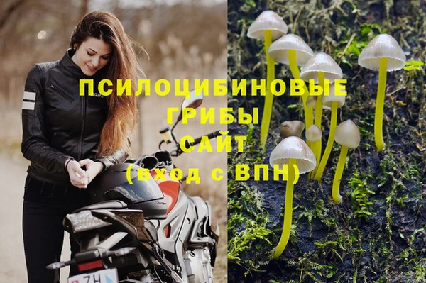 крисы Богородицк