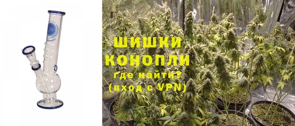 крисы Богородицк