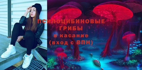 крисы Богородицк